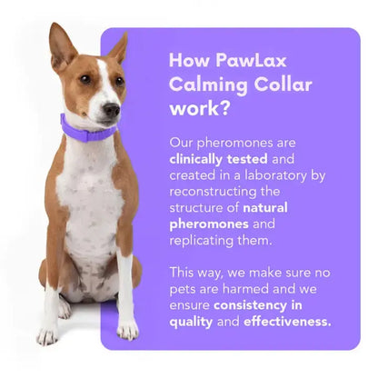 PawLax Collar